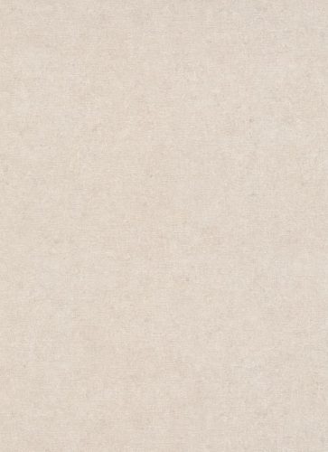 Erismann Gentle vlies, vinyl anyagú beige színű egyszínű, textilhatású, foltos Modern tapéta