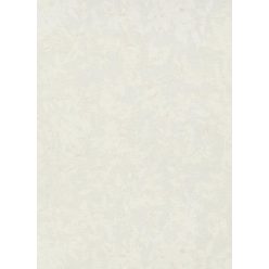   Erismann Gentle vlies, vinyl anyagú fehér, beige színű leveles Modern tapéta
