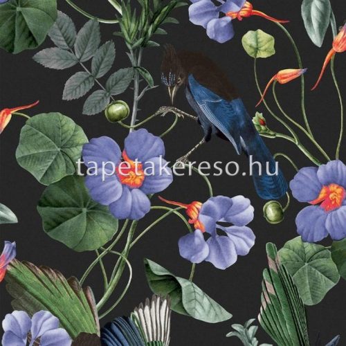 Graham & Brown Genesis vlies anyagú fekete, fehér, lila, zöld, kék, narancssárga színű madaras, virágos modern tapéta