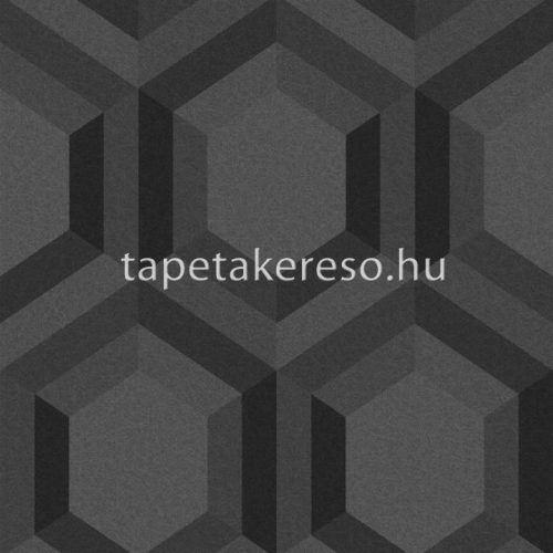 Graham & Brown Pioneer vlies anyagú fekete, szürke színű geometriai modern tapéta