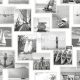 ESTA Regatta Crew vlies anyagú fehér, szürke színű tenger, sport ifjúsági tapéta