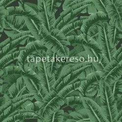   Esta Jungle Fever vlies anyagú zöld, fekete színű leveles modern, natural tapéta