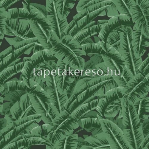 Esta Jungle Fever vlies anyagú zöld, fekete színű leveles modern, natural tapéta