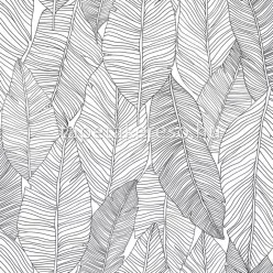   Esta Black & White vlies anyagú fekete, fehér színű leveles modern tapéta