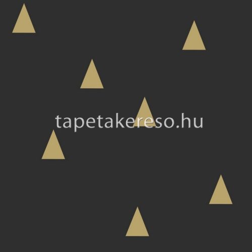 Esta Black & White vlies anyagú fekete, arany színű geometriai modern tapéta