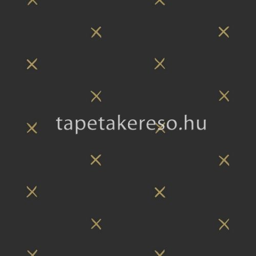 Esta Black & White vlies anyagú fekete, arany színű geometriai modern tapéta