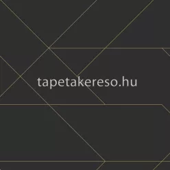   Esta Black & White vlies anyagú fekete, arany színű geometriai modern tapéta