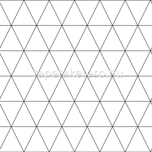 Esta Black & White vlies anyagú fekete, fehér színű geometriai modern tapéta