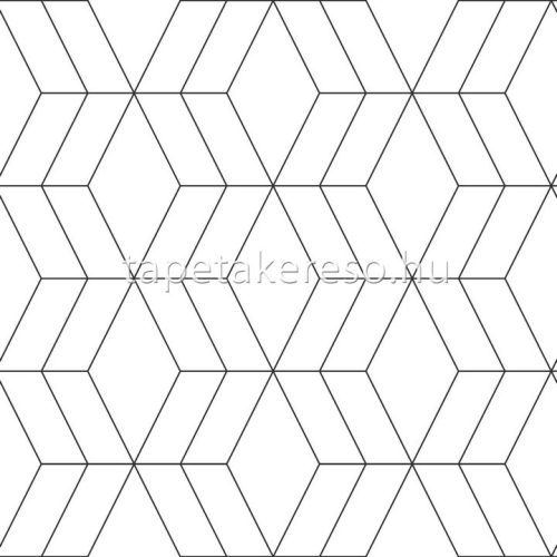 Esta Black & White vlies anyagú fekete, fehér színű 3d, geometriai modern tapéta
