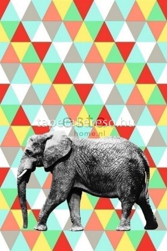 Esta xl² Photowalls for kids vlies anyagú piros, sárga, zöld, fehér színű geometriai gyerek poszter