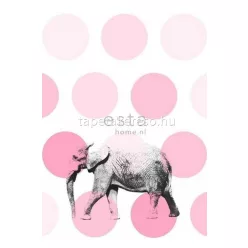   Esta xl² Photowalls for kids vlies anyagú fehér, rózsaszín színű pöttyös, állatos gyerek poszter