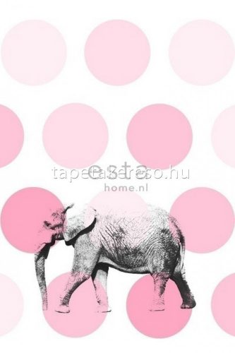 Esta xl² Photowalls for kids vlies anyagú fehér, rózsaszín színű pöttyös, állatos gyerek poszter