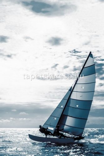 ESTA Regatta Crew vlies anyagú fehér, kék színű hajós, tenger ifjúsági poszter