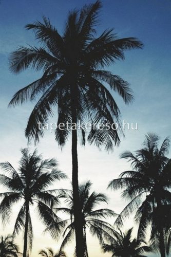 ESTA xl² Photowalls for kids vlies anyagú kék, fekete, fehér színű fás gyerek poszter