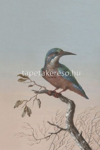 Esta Blush vlies anyagú mályva, kék, szürke színű madaras, ágas modern poszter