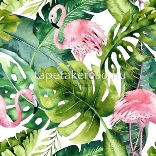 Esta Jungle Fever vlies anyagú fehér, zöld, rózsaszín színű madaras, leveles modern, natural poszter