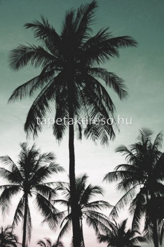 Esta Jungle Fever vlies anyagú zöld, fekete, fehér színű fás modern, natural poszter