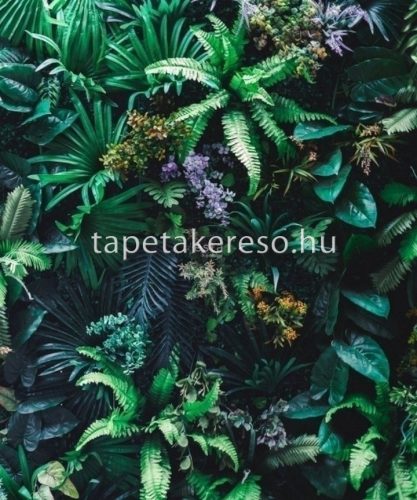 Esta Jungle Fever vlies anyagú zöld, lila, sárga színű növényes modern, natural poszter