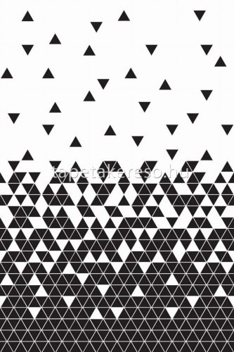 Esta Black & White vlies anyagú fekete, fehér színű geometriai modern poszter