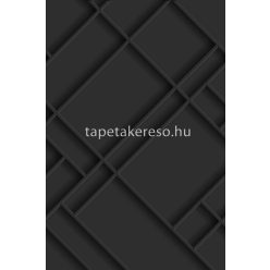   Esta Black & White vlies anyagú fekete színű 3d, geometriai modern poszter