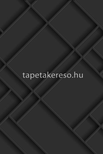 Esta Black & White vlies anyagú fekete színű 3d, geometriai modern poszter