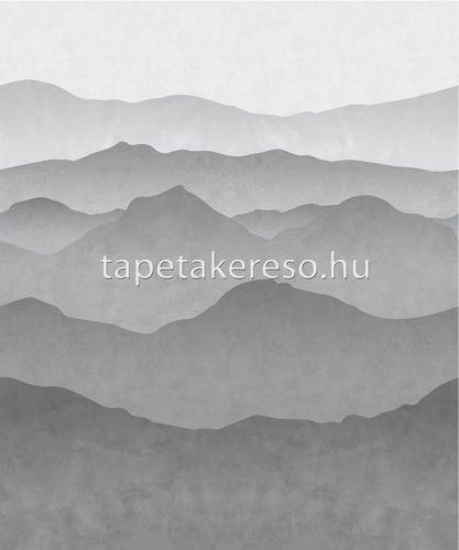 Esta Black & White vlies anyagú szürke színű hegyvidék modern poszter