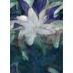Erismann Elle Decoration 3 vlies anyagú fehér, lila, zöld színű virágos modern poszter