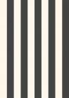 Rasch Schöner Wohnen Cosy Living vlies anyagú fekete, fehér színű csíkos Modern panel