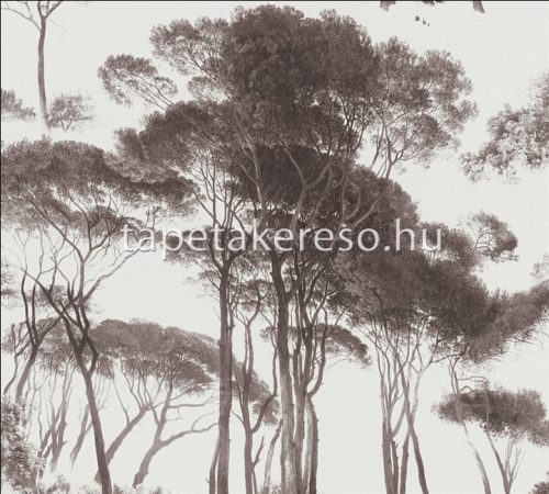 AS Creation History of Art vinyl, vlies anyagú fehér, barna színű fás romantikus tapéta