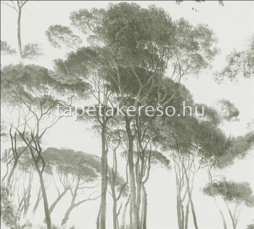 AS Creation History of Art vinyl, vlies anyagú fehér, zöld színű fás romantikus tapéta