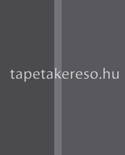 Eijffinger Stripes + vlies anyagú fekete színű csíkos modern tapéta