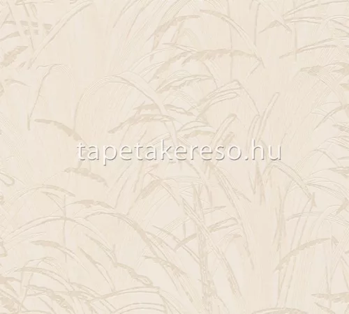AS Creation Hygge 2 habos, vlies anyagú beige színű leveles modern, natural tapéta