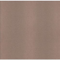   Rasch, vlies, vinyl, bőrhatású, bőrmintás, modern,  barna színű, közép 