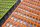 AS Creation XXL Wallpaper 2. vlies anyagú narancssárga, zöld színű épület modern poszter