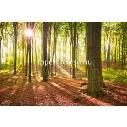   AS Creation XXL Wallpaper 2. vlies anyagú barna, zöld színű tájkép modern poszter