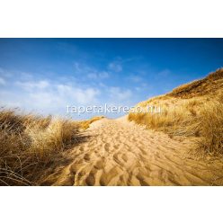   AS Creation XXL Wallpaper 2. vlies anyagú barna, kék színű tájkép modern poszter