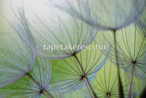 AS Creation XXL Wallpaper 2. vlies anyagú szürke, zöld színű növényes modern poszter
