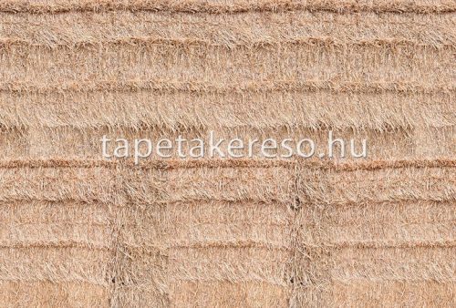 Architects Paper AP Digital 2 vlies anyagú barna színű széna modern poszter
