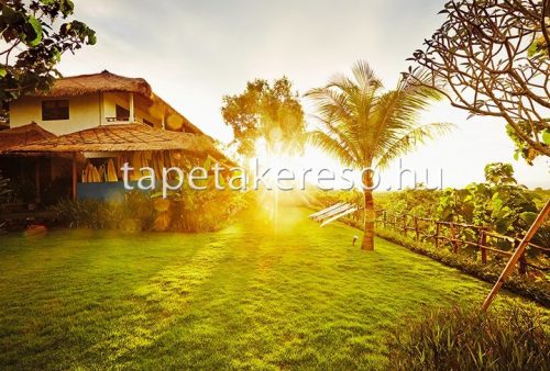 Architects Paper AP Digital 2 vlies anyagú zöld, barna színű tájkép modern poszter