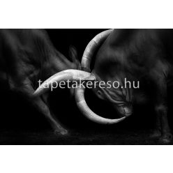  Architects Paper AP Digital 2 vlies anyagú fekete, fehér színű állatos modern poszter