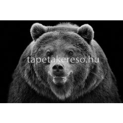   Architects Paper AP Digital 2 vlies anyagú fekete, fehér színű állatos modern poszter