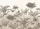 Rasch Magic Walls by Rasch vlies anyagú barna, beige színű fás modern poszter