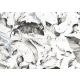 Jannelli&Volpi 503 Botanical vlies anyagú fehér, fekete, szürke, gyöngyház színű virágos, leveles modern tapéta