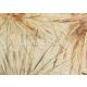 Jannelli & Volpi 181 Lemuria papír, vinyl anyagú beige, rozsdabarna, zöld színű leveles, szövethatású modern, natural tapéta
