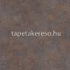 Caselio Telas vlies, vinyl anyagú barna színű foltos, betonhatású modern tapéta