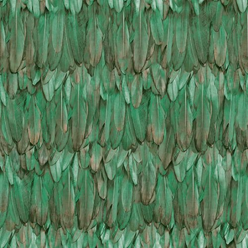 Adawall Tropicano vinyl anyagú zöld, barna színű tollas modern tapéta