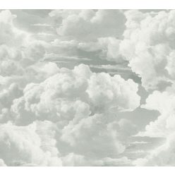   AS Creation Michalsky 6 vlies, vinyl anyagú fehér, zöld színű felhős Modern tapéta