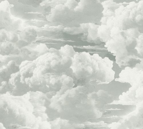AS Creation Michalsky 6 vlies, vinyl anyagú fehér, zöld színű felhős Modern tapéta