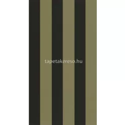   Caselio Basics vlies, vinyl anyagú fekete, zöld színű csíkos modern tapéta