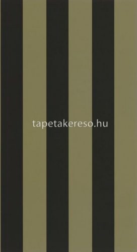 Caselio Basics vlies, vinyl anyagú fekete, zöld színű csíkos modern tapéta